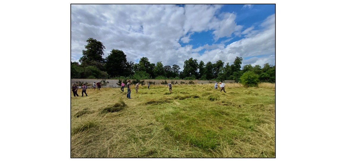 Learn to Scythe at Wandlebury