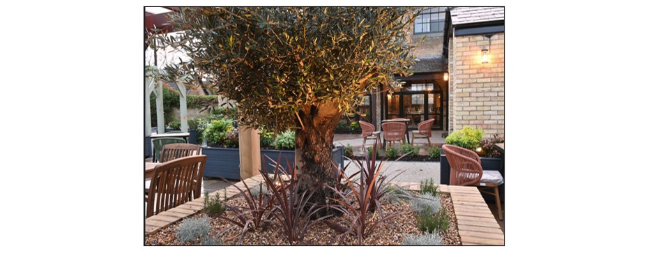 The White Hart - garden