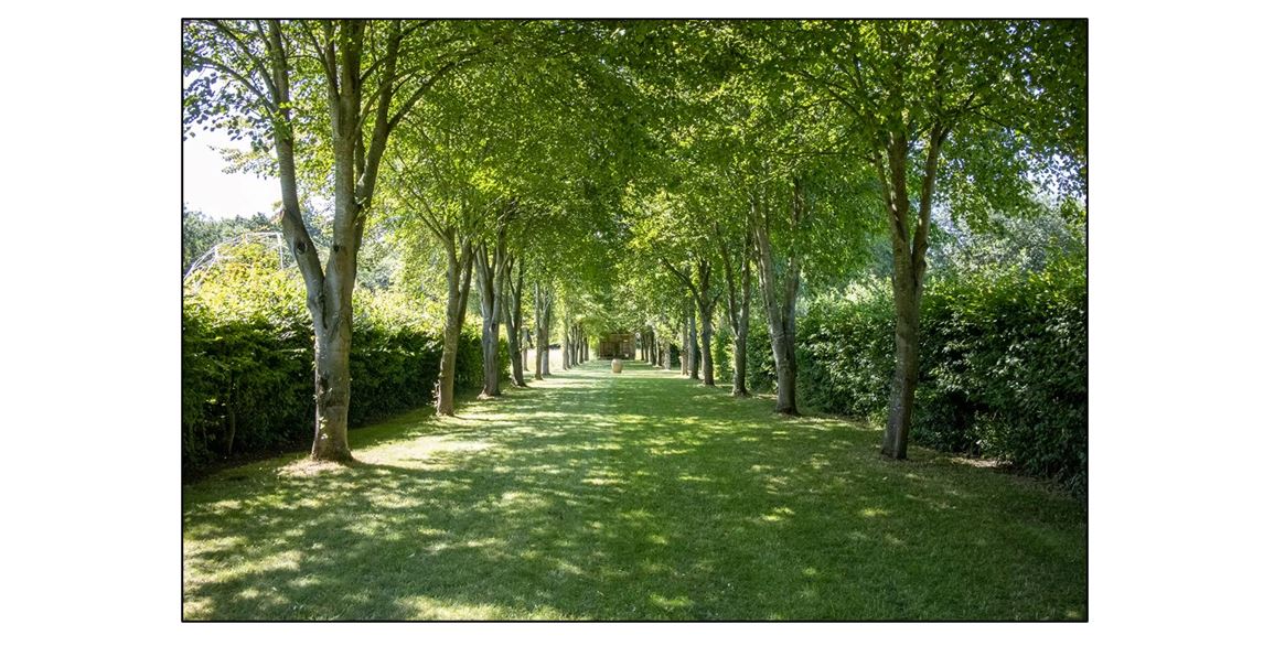 The Manor Dairy - Garden