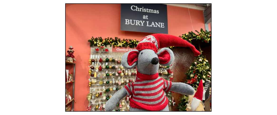Christmas Shop at Bury Lane - mouse and sign