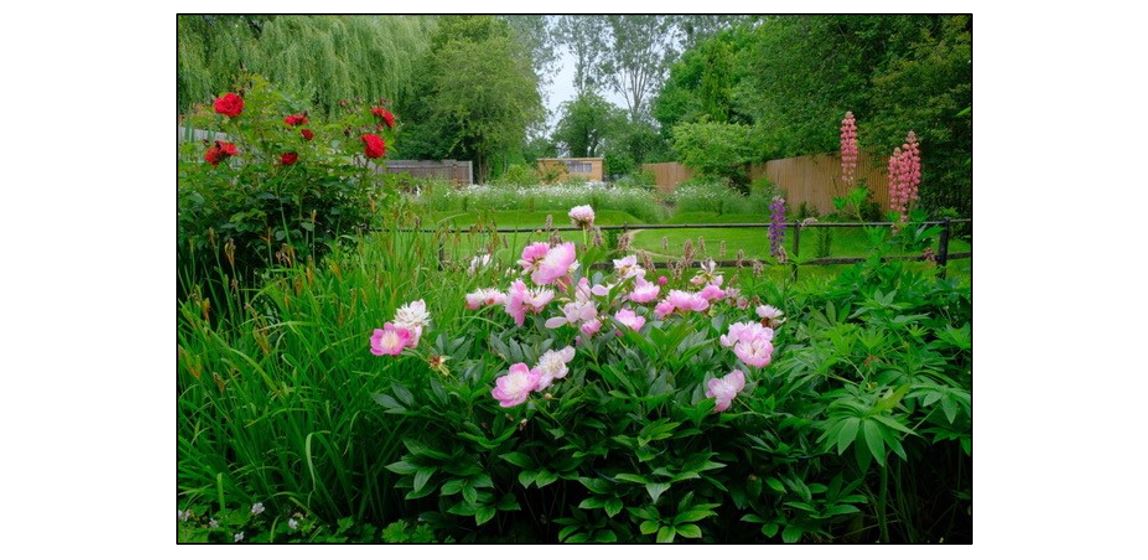 Toft Open Gardens