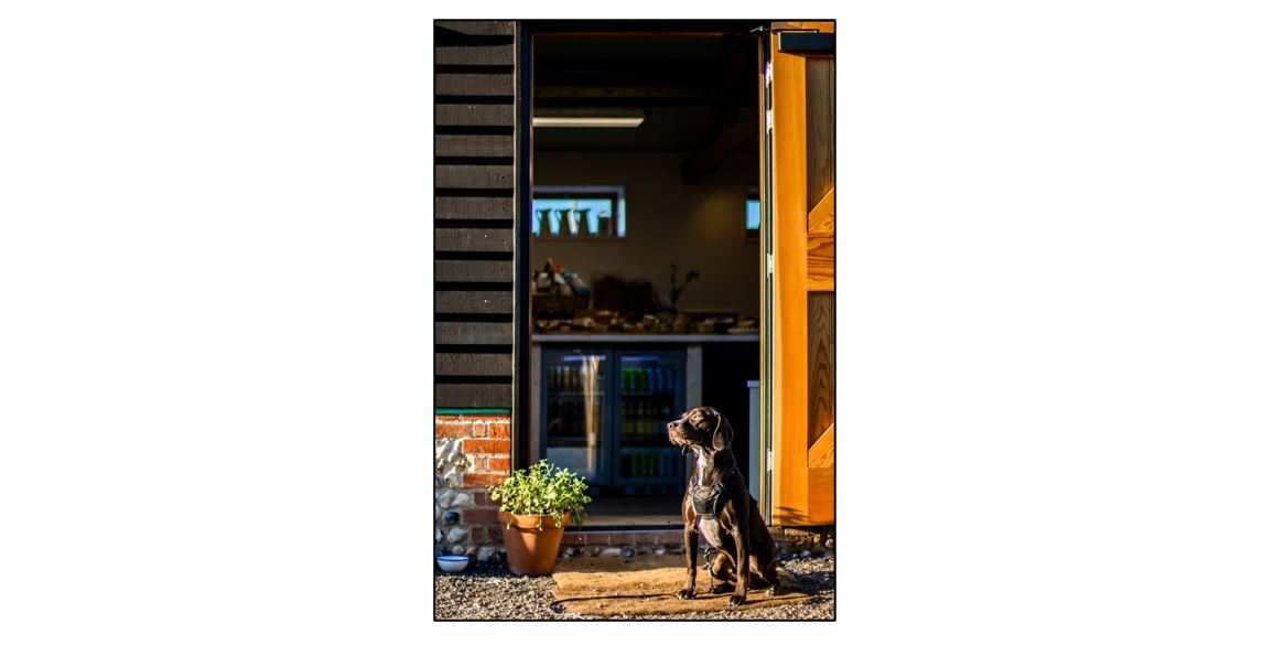 The Linton Bakery - door and dog