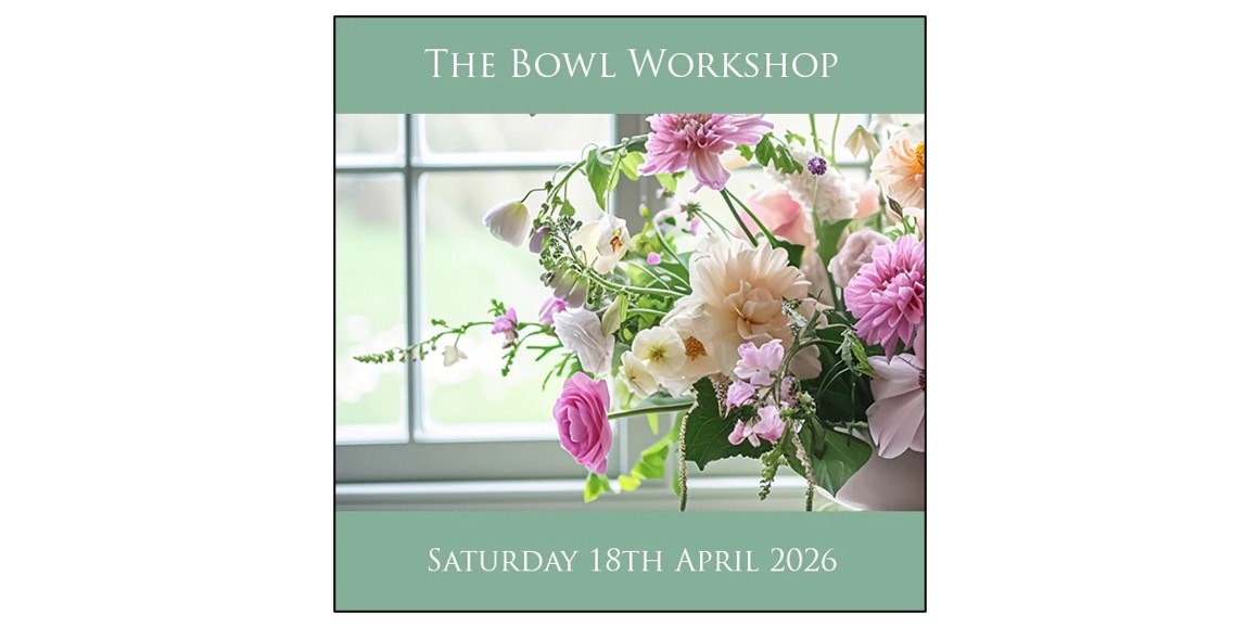 The Bowl Workshop