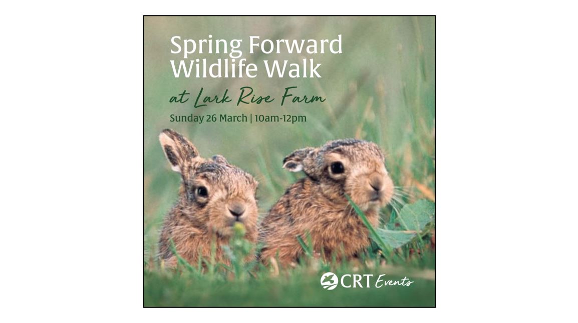 Spring Forward Wildlife Walk