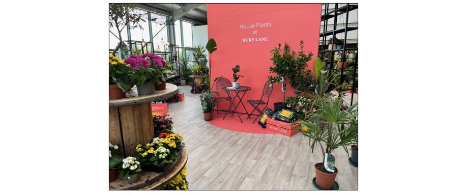Bury Lane Farm Shop - houseplants