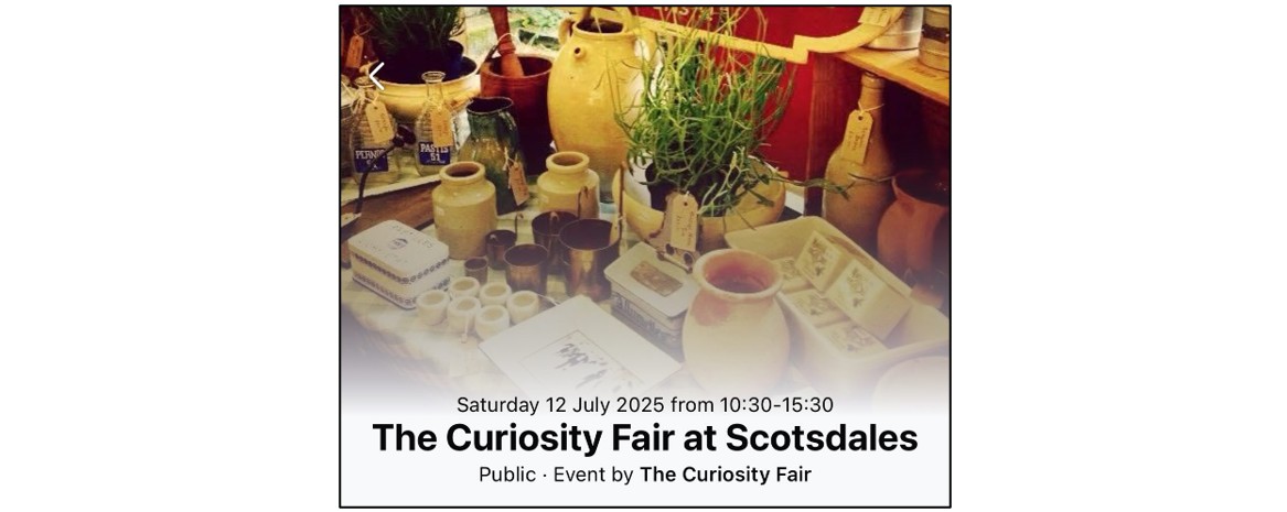 The Curiosity Fair at Great Shelford