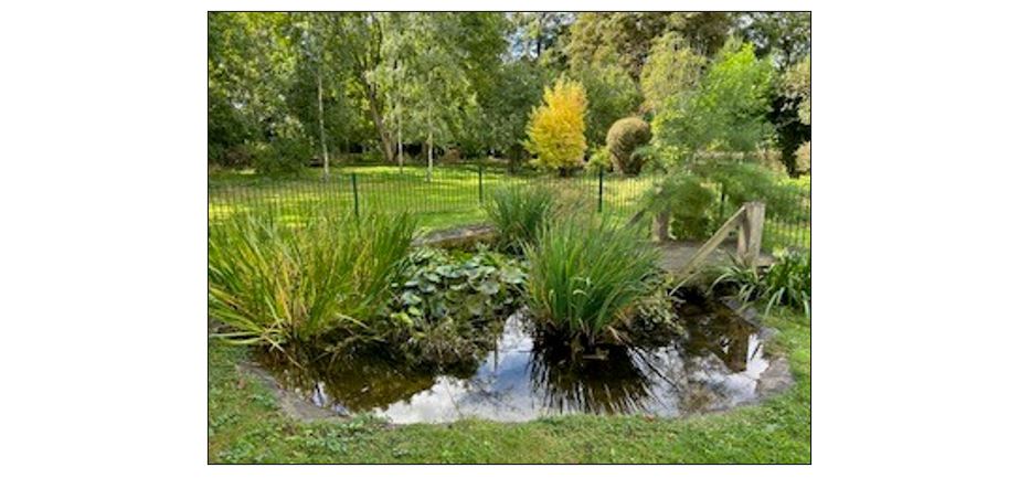 The Mary Challis House and Garden - pond