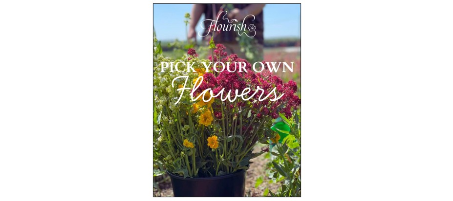 Pick-Your-Own-Flowers
