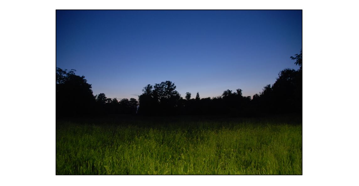 Bat Walk at Coton
