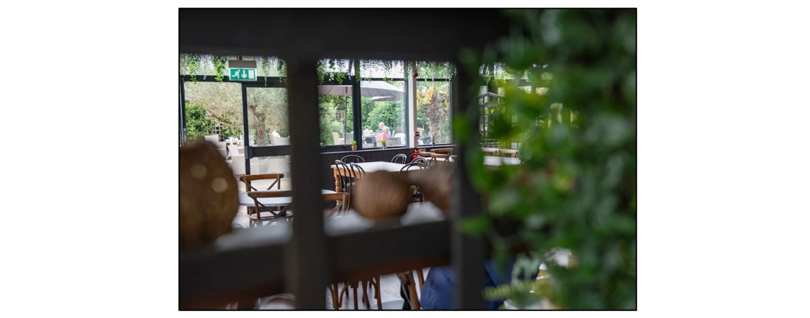 The Olive Tree Café