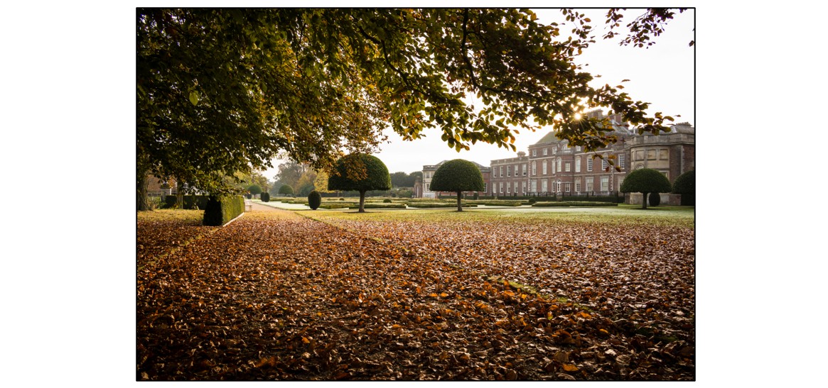 Halloween in the House