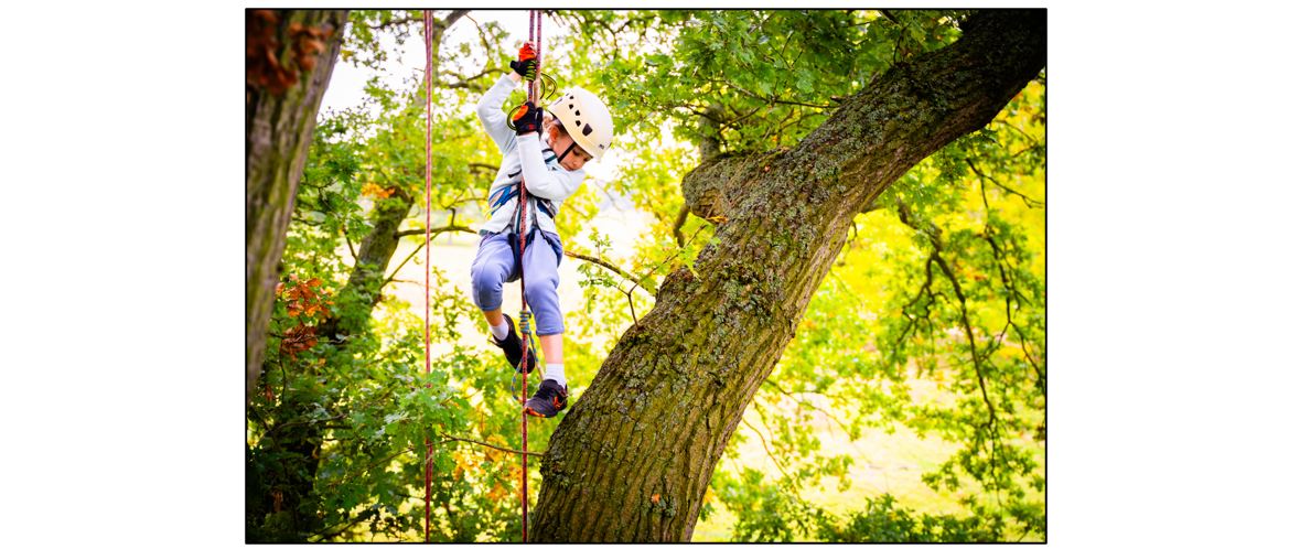 Big Tree Climbing at Wimpole