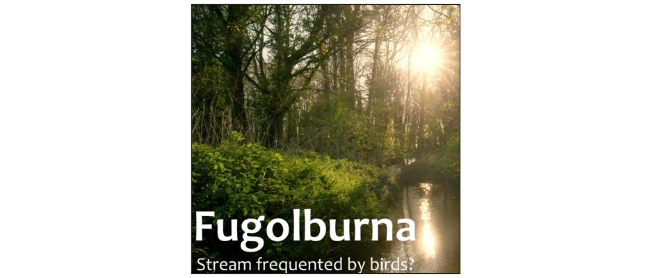 Cambridge Rivers of Film Festival - Fugolburna