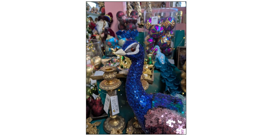 Christmas Village at Oakington Garden Centre - peacock