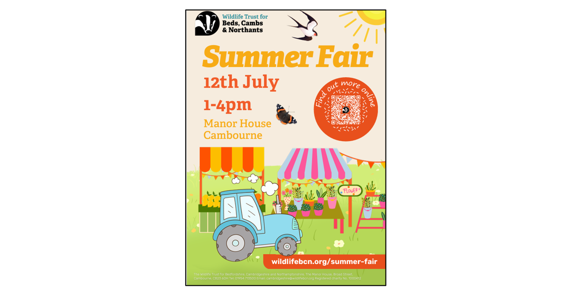 Wildlife Trust BCN Summer Fair