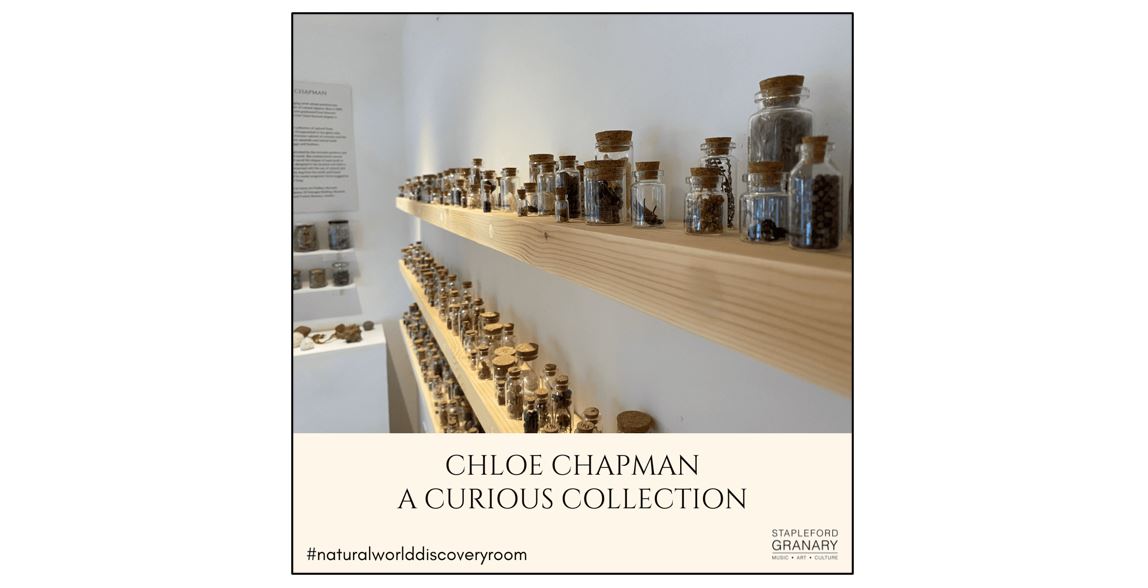 Natural World Discovery Room - Chloe Chapman Glass