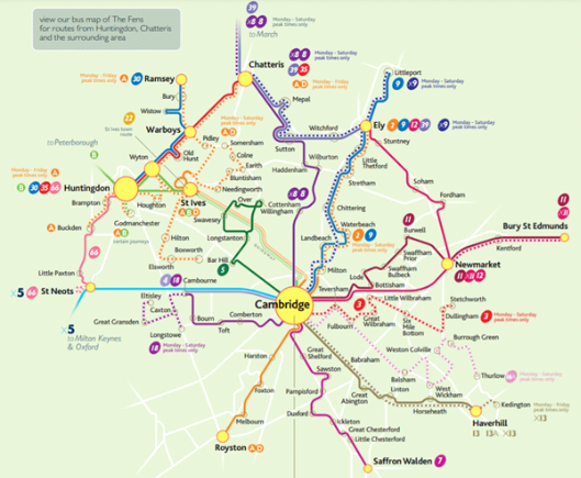 Cambridge Bus Map - Arleen Michelle