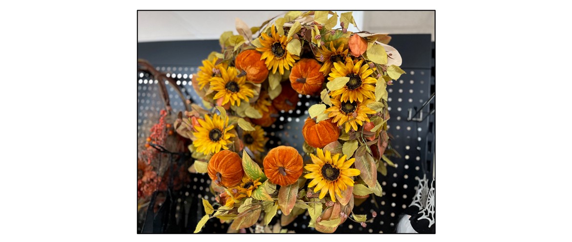 PYO Pumpkins & Halloween Shop