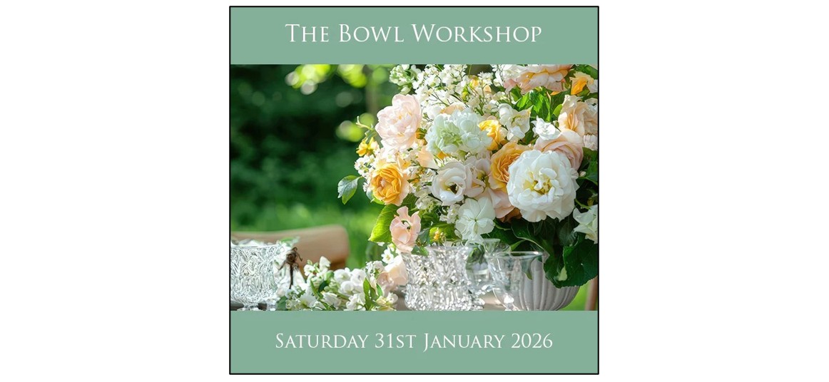 The Bowl Workshop