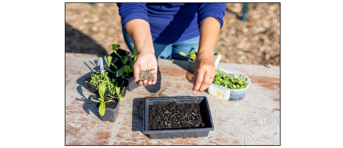 Autumn Growing Workshop