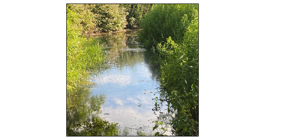 The Heritage Orchard at Stapleford Granary - river