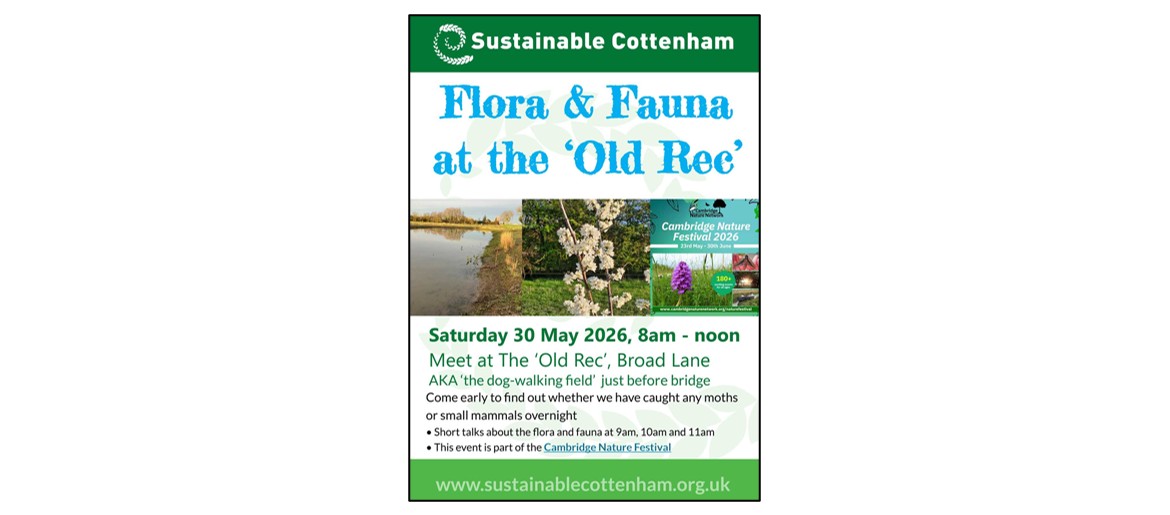Flora and Fauna at the Old Rec, Cottenham - poster