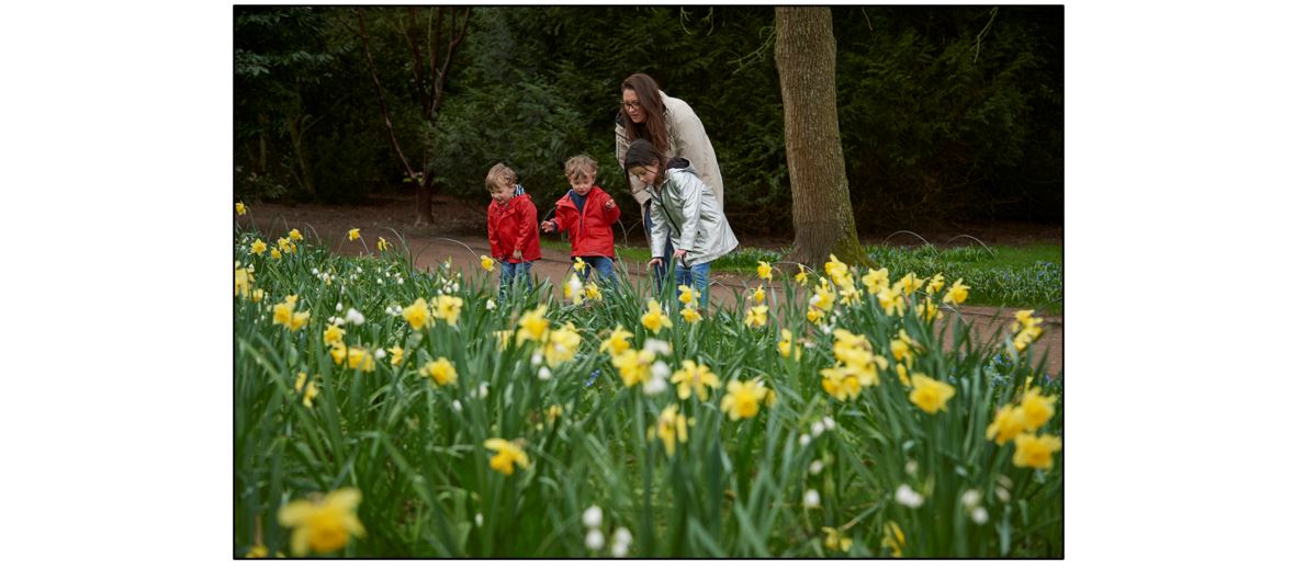 Easter Egg Hunt at Wimpole Estate 