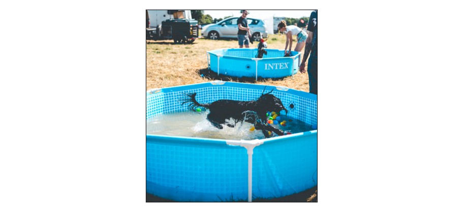 The Cambridge Country Show - dogs in the pool