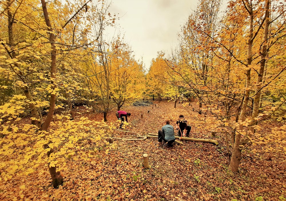 Volunteer Outdoor Work Parties at Wandlebury