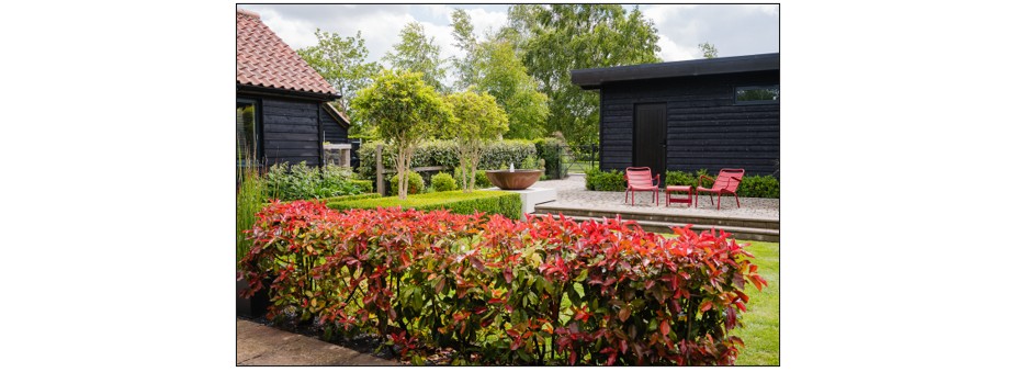 Green End Farm Open Garden