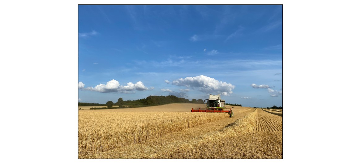 Open Farm Sunday at Meads Farm