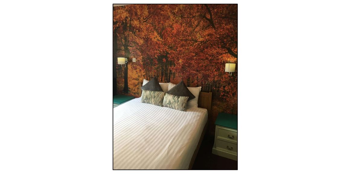 The White Horse Inn - bedroom