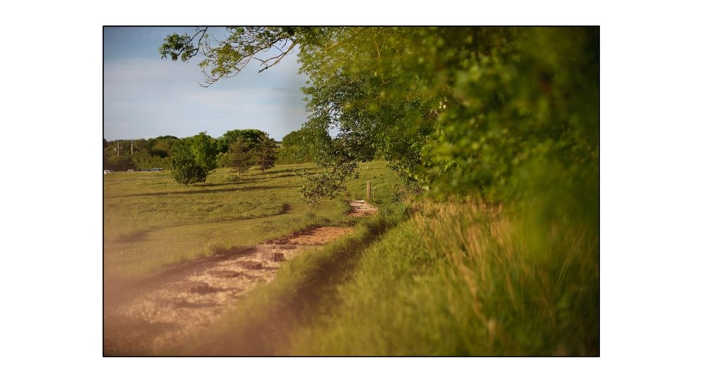 PAUS - barefoot trail