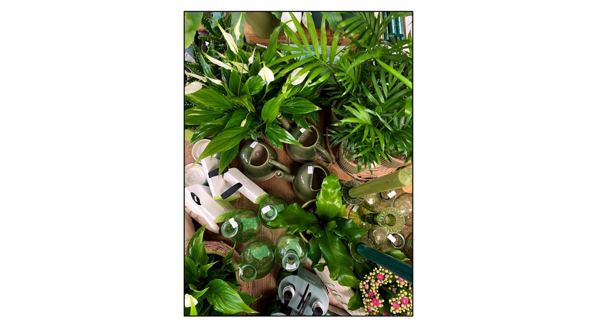 Christmas at Gin House Flowers