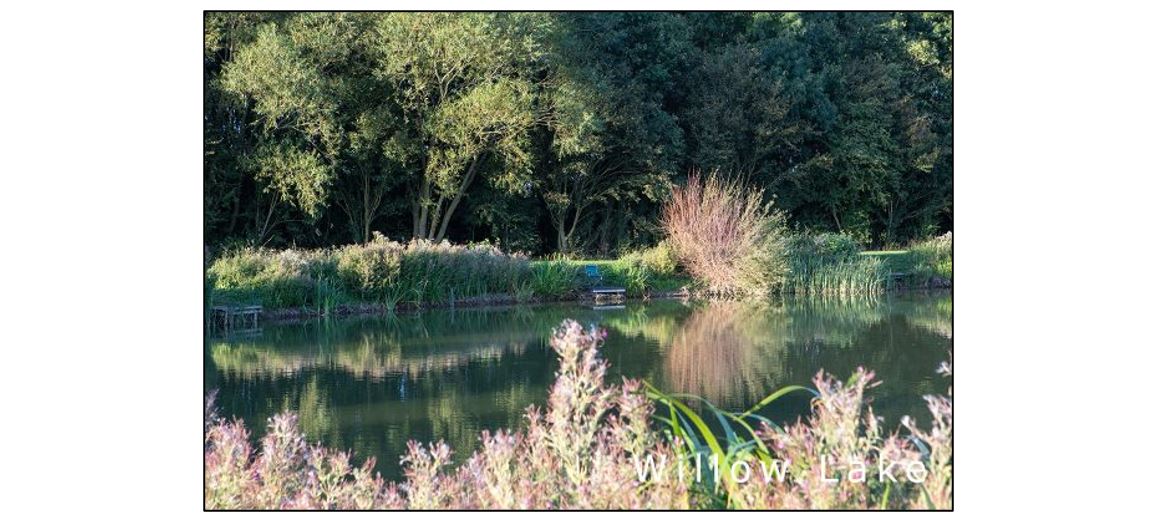 Lawn Farm Fisheries - Visit South Cambs