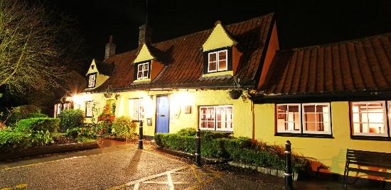 The Blue Lion