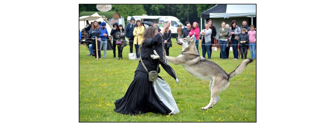 Ancient Oak Fayre - wolves