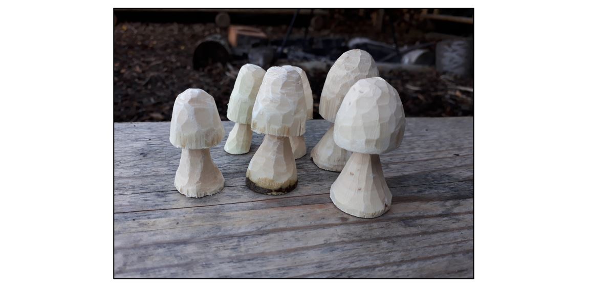Wooden Mushroom Whittling or Beginner's Willowcraft Workshops