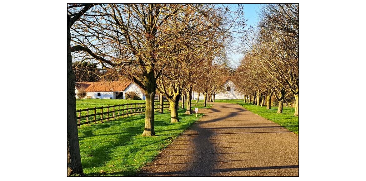 Workshop Cafe & Restaurant at Frank's Farm