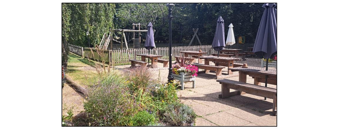 The White Swan - Garden and outside