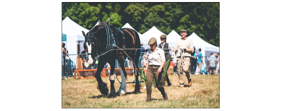 The Cambridge Country Show - Horse Show