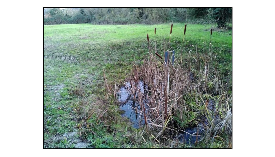Town End Close Nature Reserve