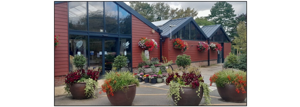 The Olive Tree Café