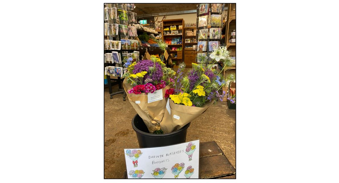 Darwin Nurseries and Farm Shop - flowers and shop
