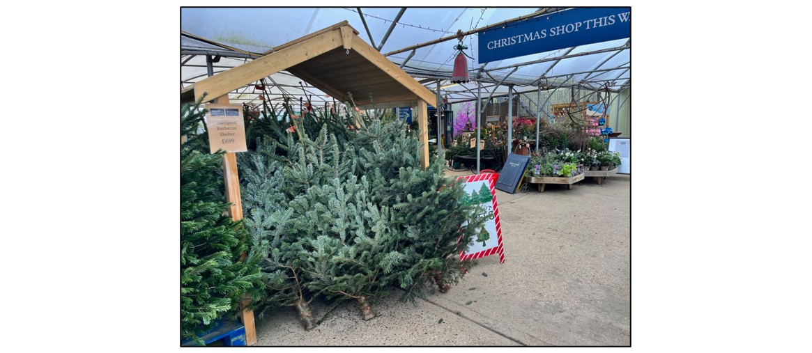 Christmas Shop at Bury Lane - Christmas Tree