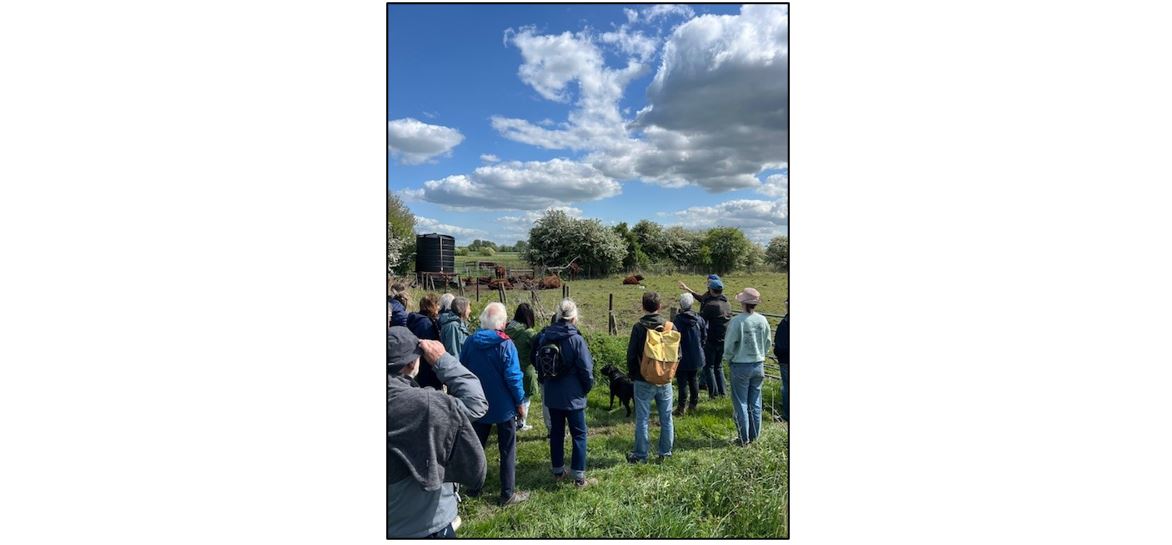 Open Farm Sunday- Farm Walk at Little Wilbraham