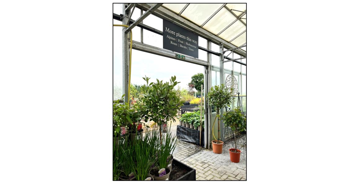 Arrington Garden Centre - Plant Area