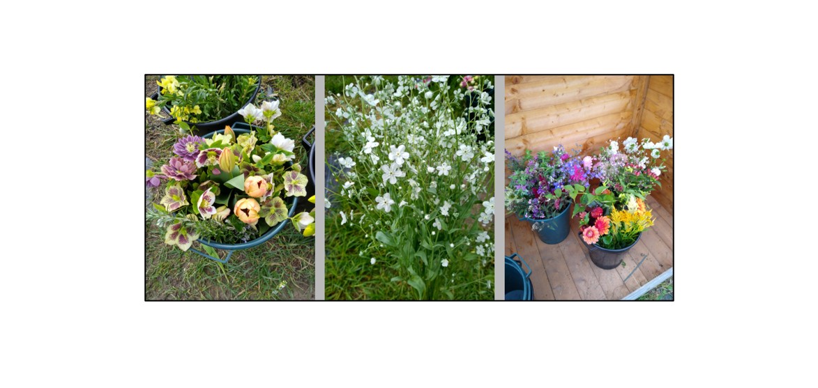 Grow Your Own Wedding Flowers 