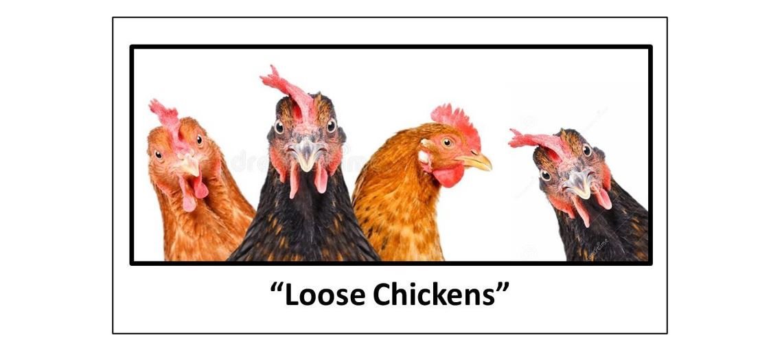 Hats Off To Cameo Cabaret - Loose Chickens