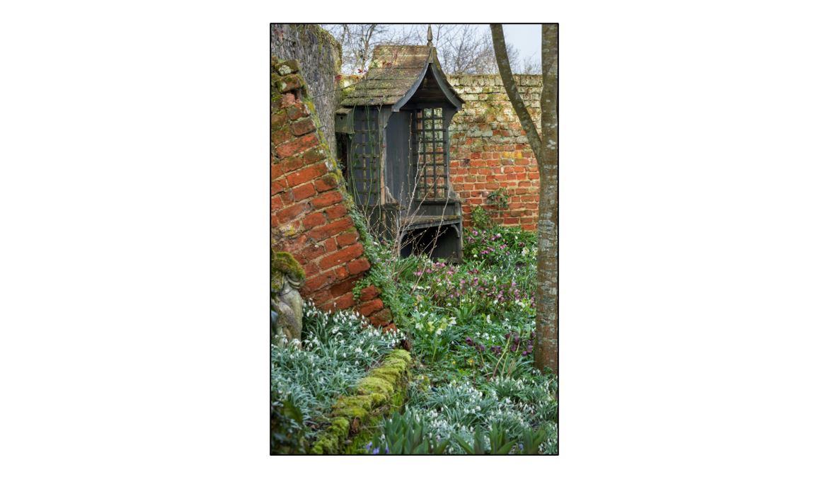 Open Garden at Clover Cottage - seat and snowdrops